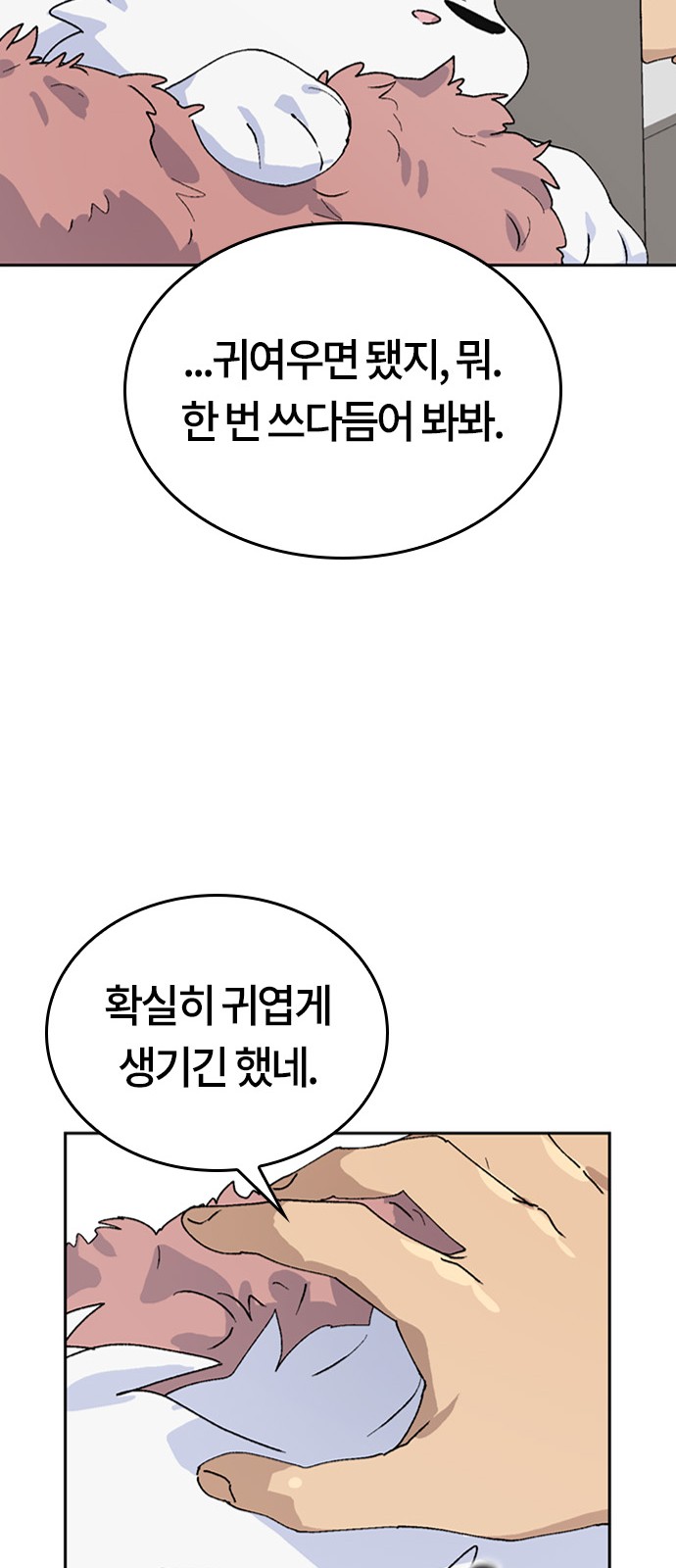 52 페이지