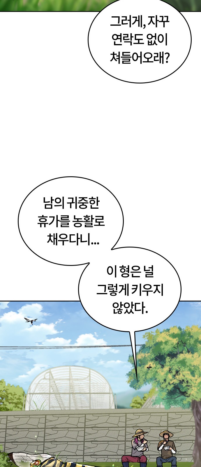 13 페이지