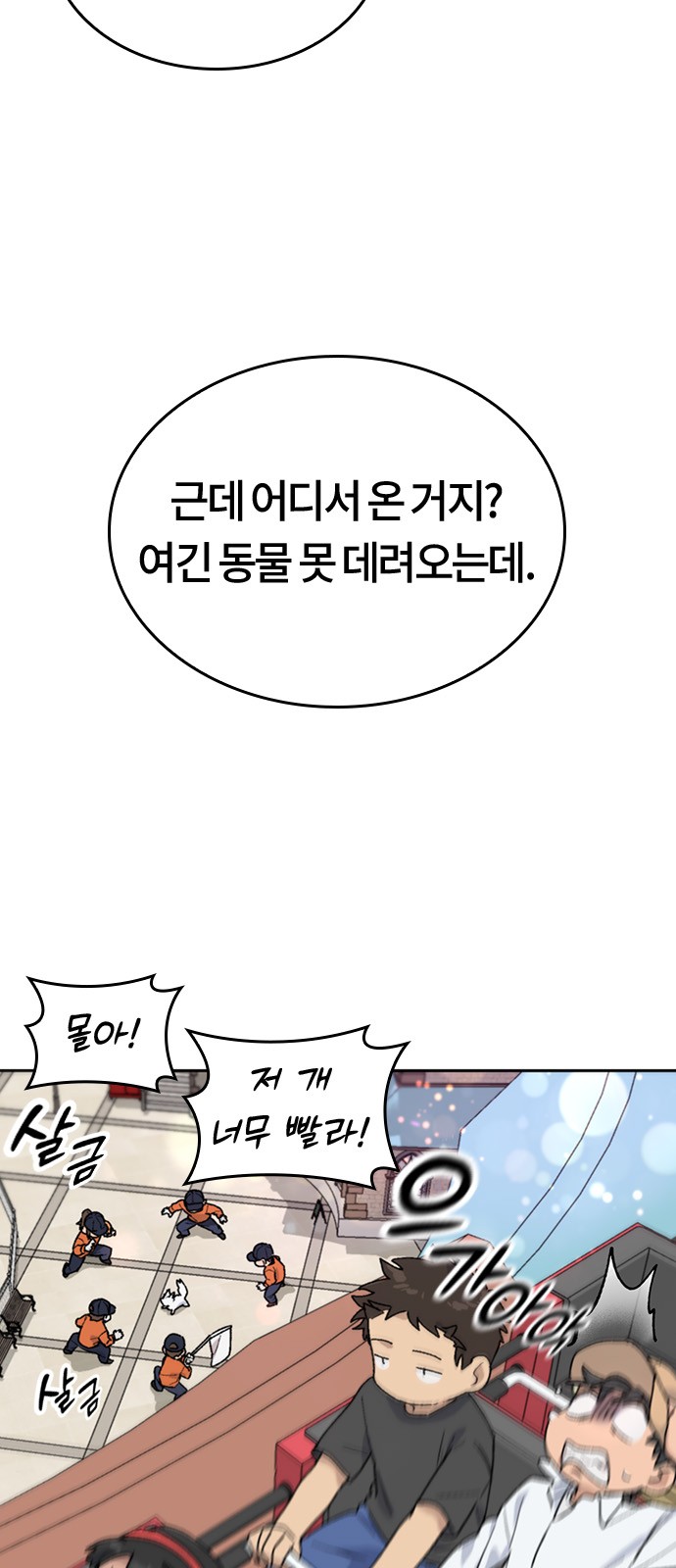 40 페이지