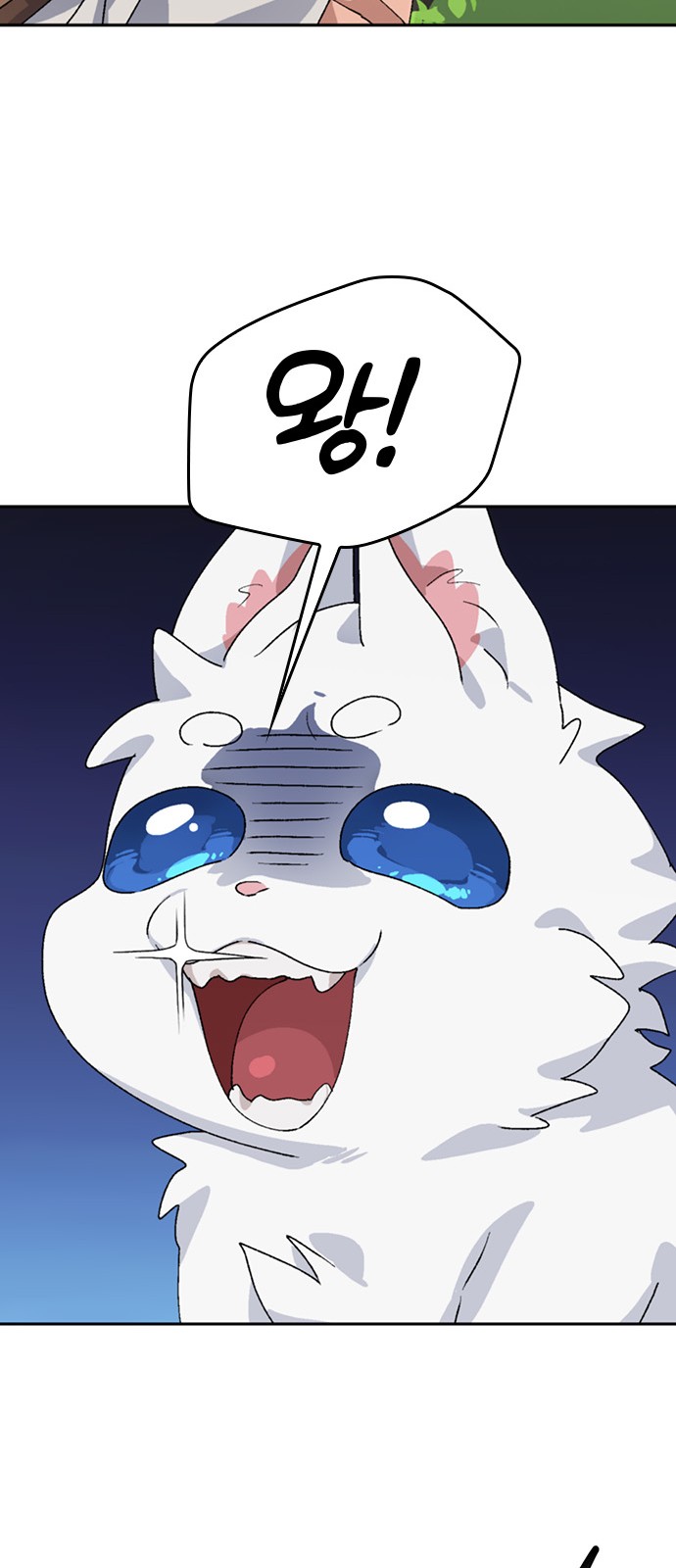 74 페이지