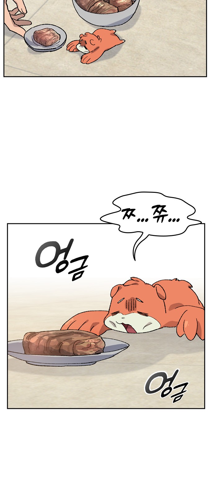 13 페이지
