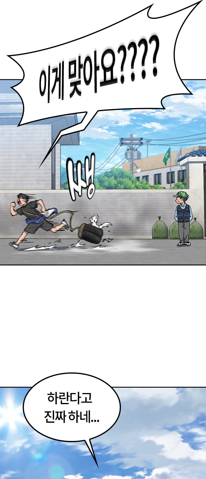 43 페이지