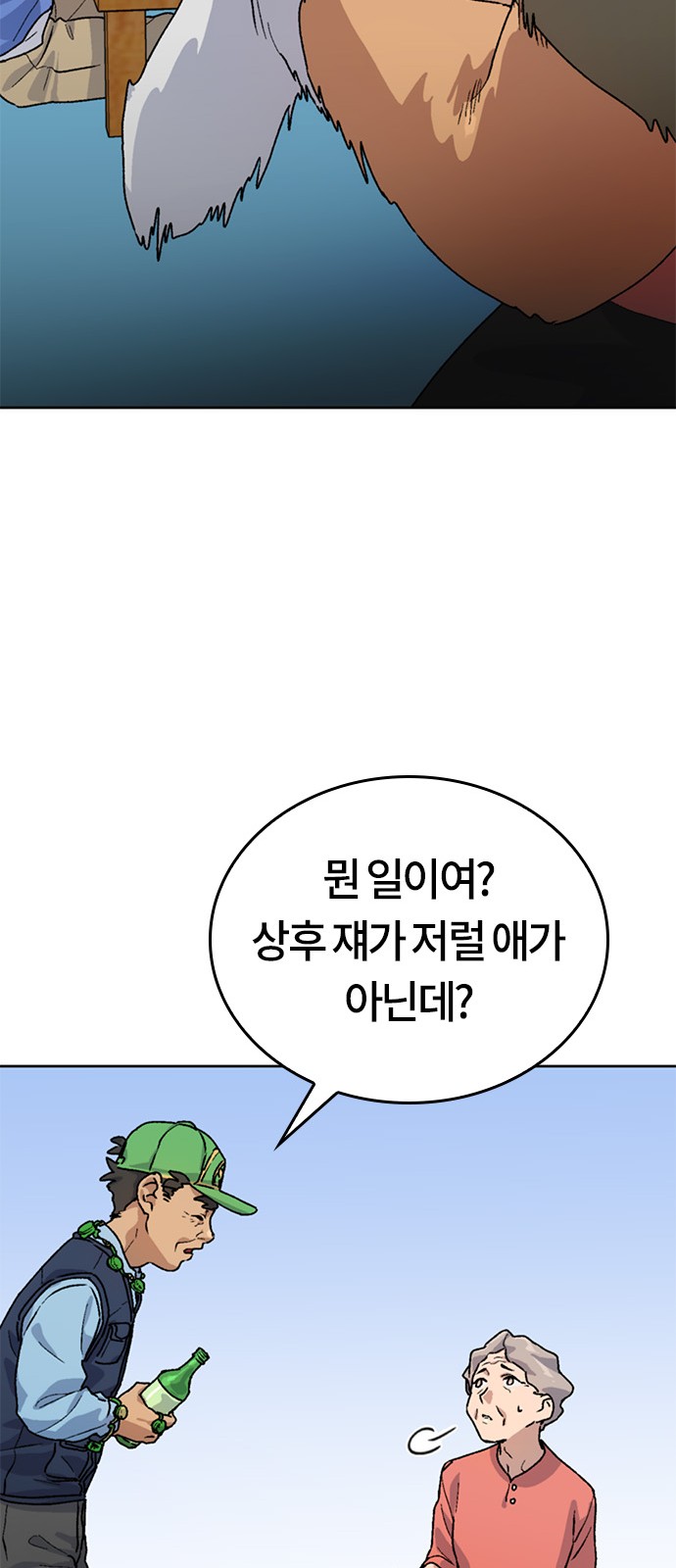 33 페이지