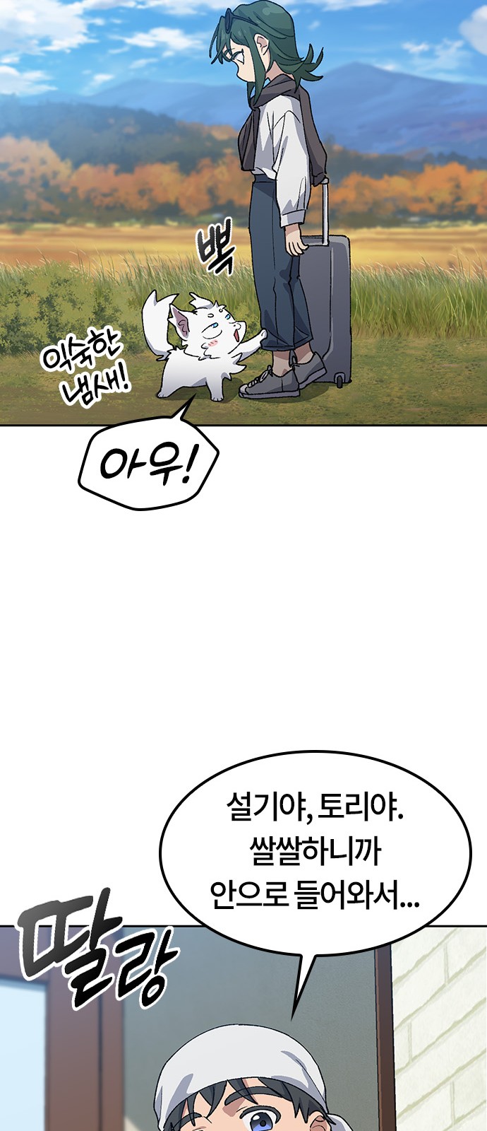 62 페이지