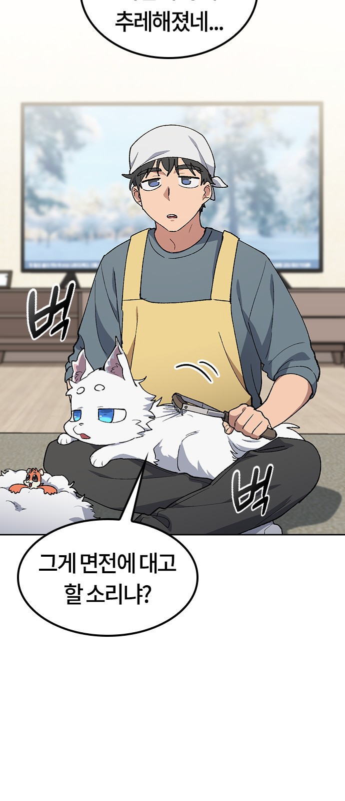 5 페이지
