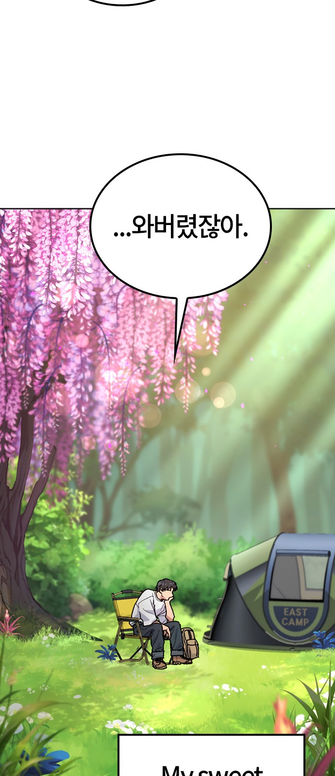20 페이지