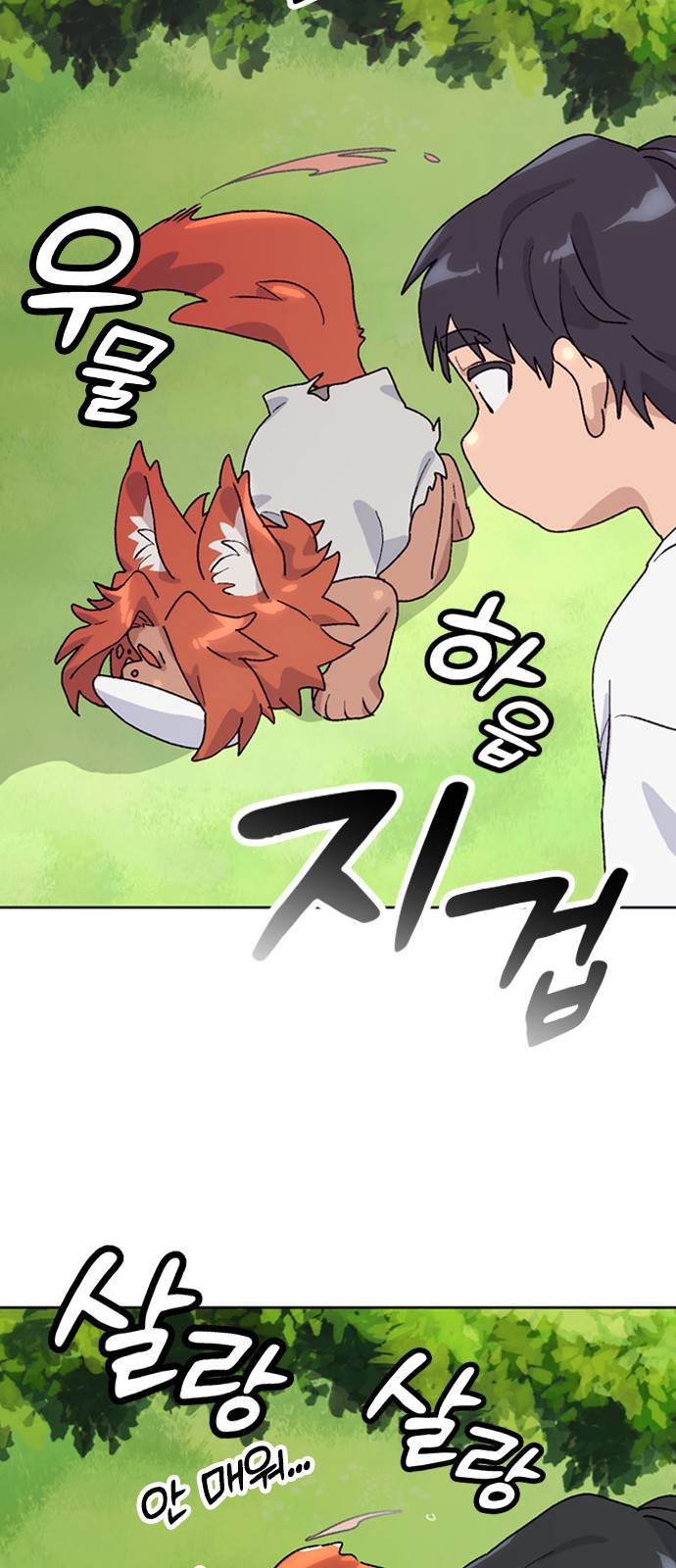 54 페이지