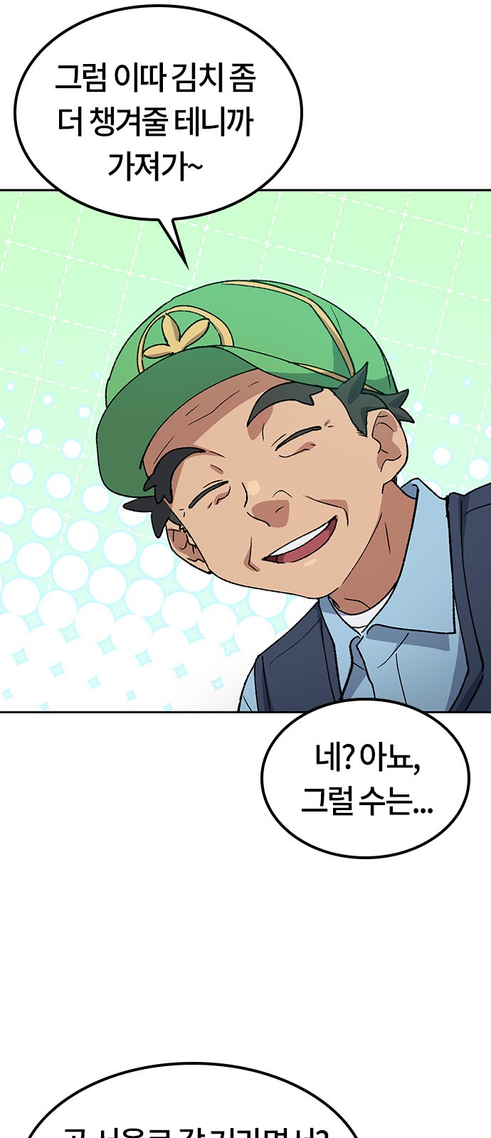46 페이지