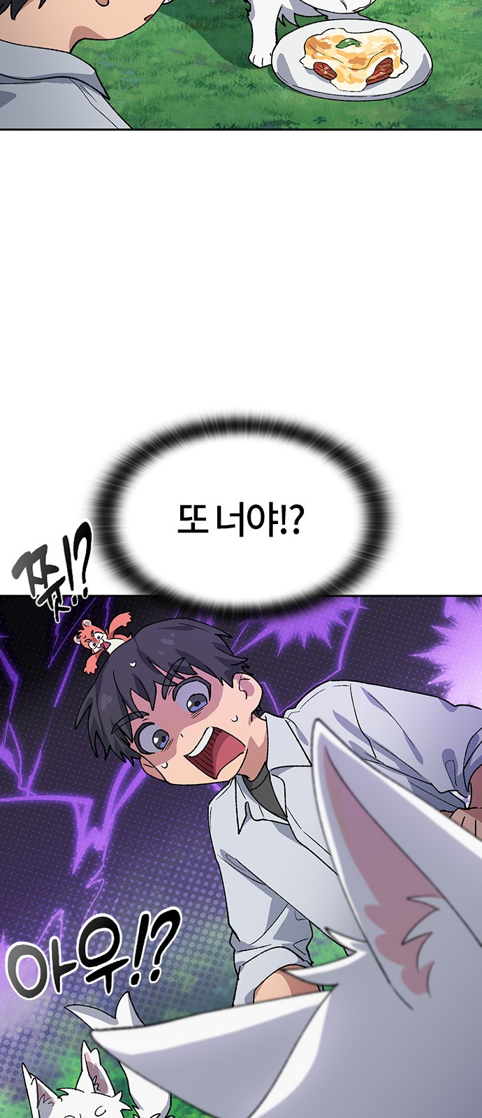 66 페이지