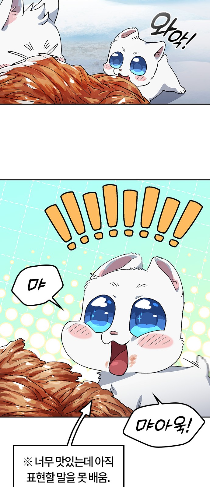 64 페이지