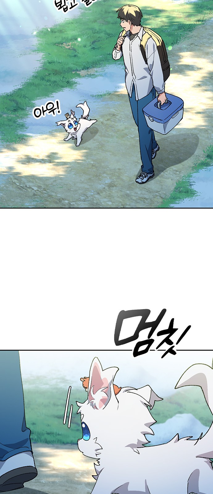 20 페이지