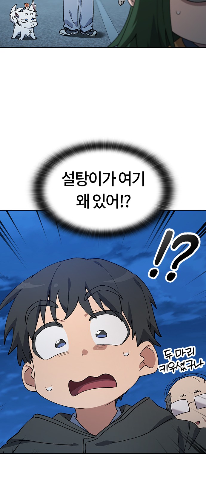 59 페이지
