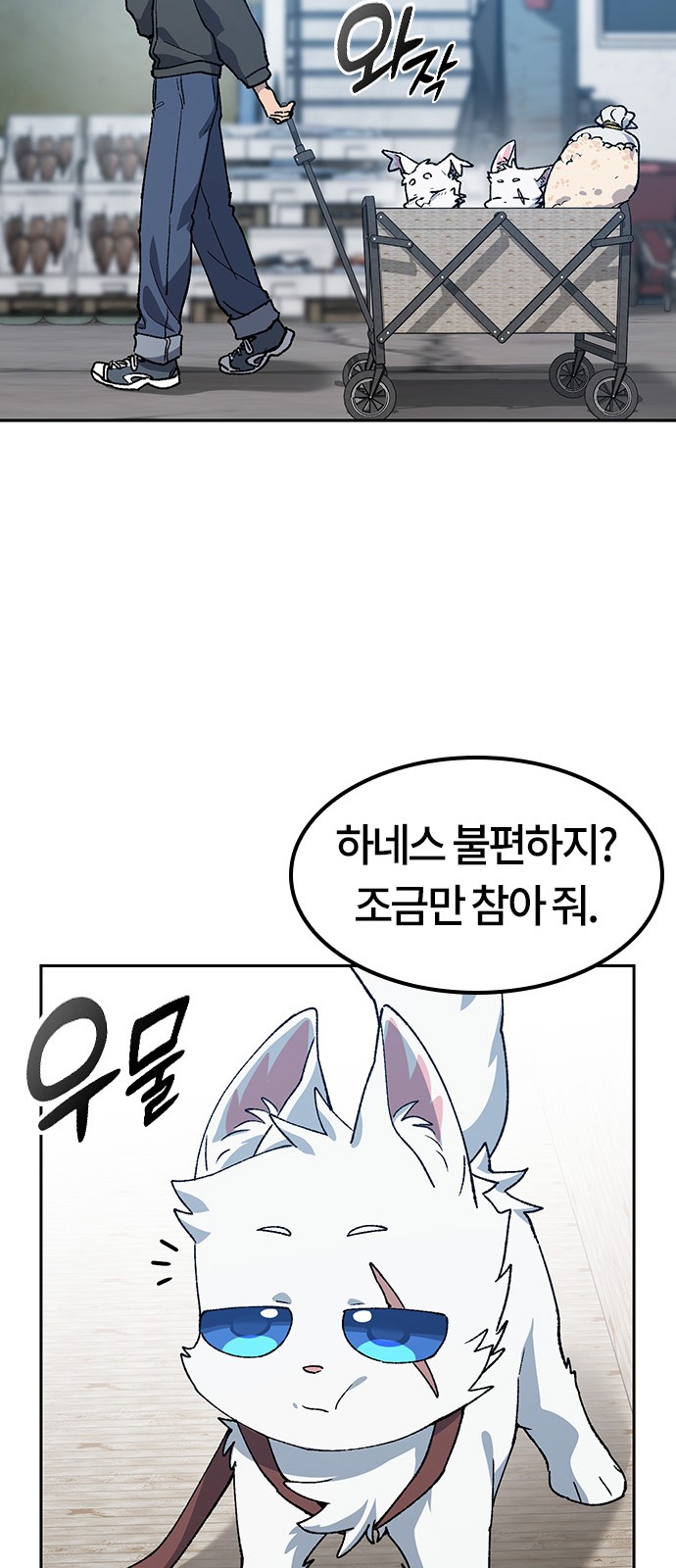 51 페이지