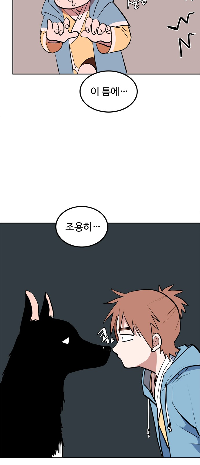 61 페이지