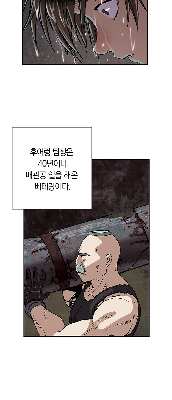 45 페이지