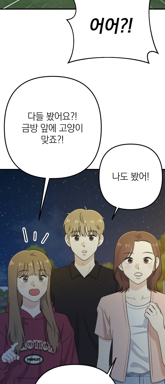 74 페이지