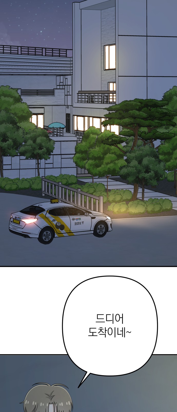 29 페이지