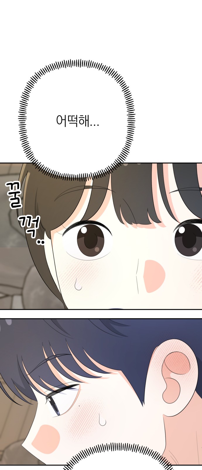 64 페이지