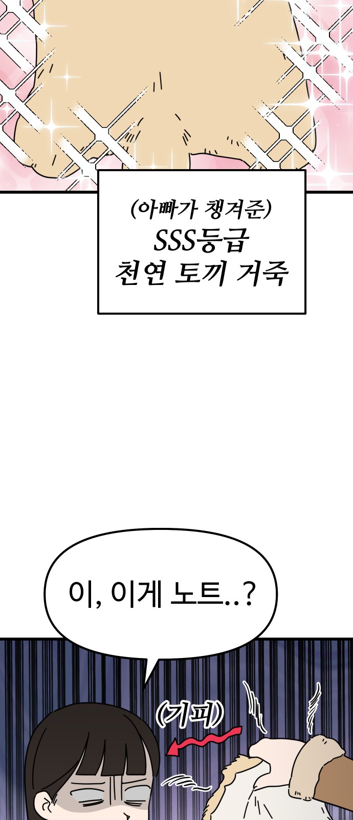 51 페이지