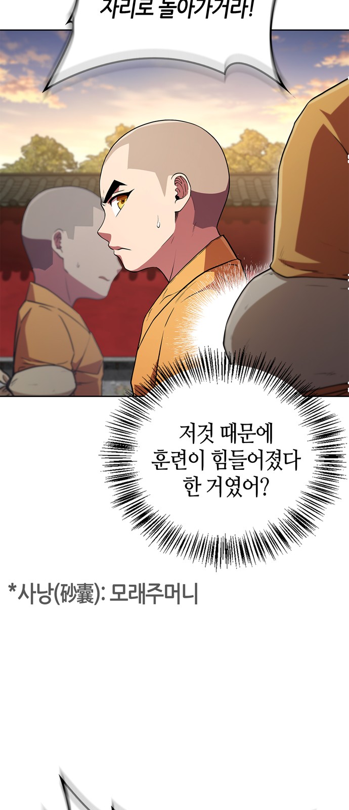 66 페이지