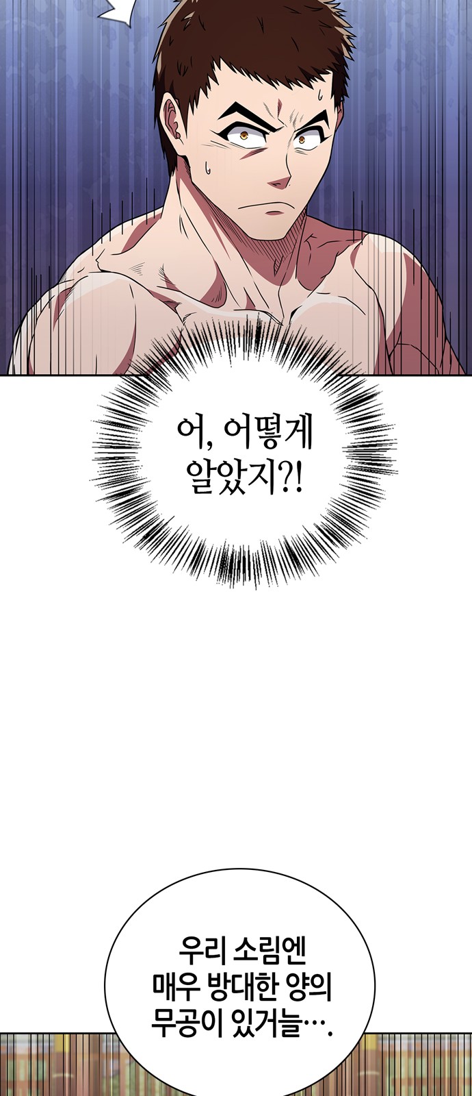 66 페이지