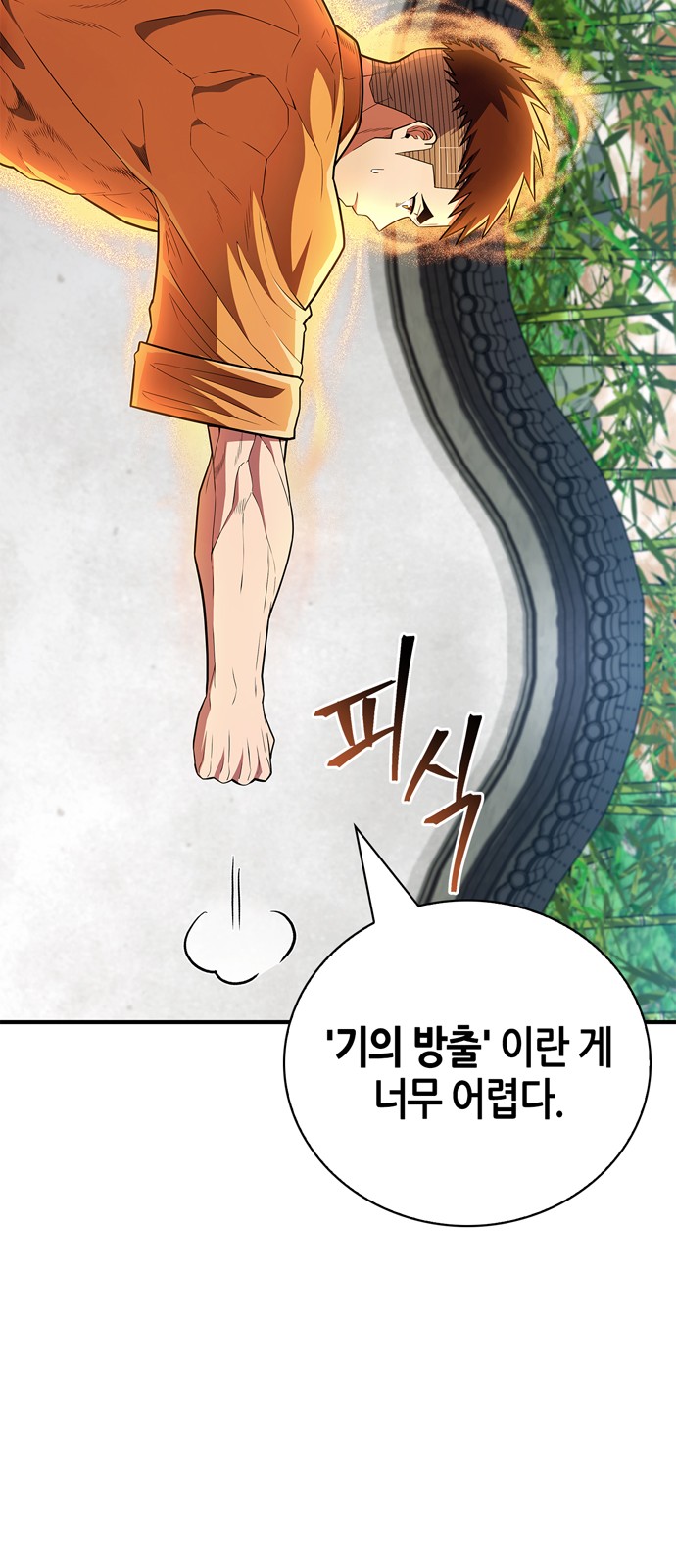 67 페이지