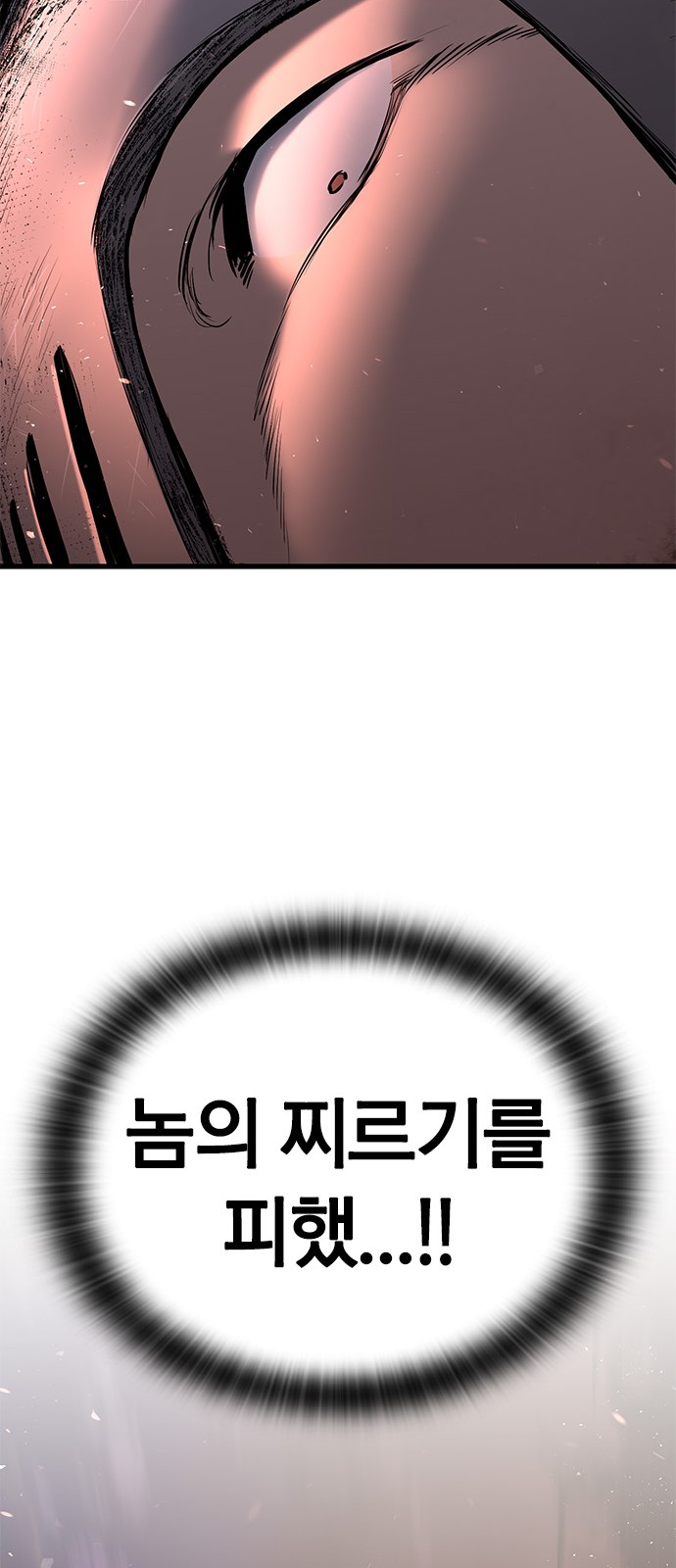 204 페이지