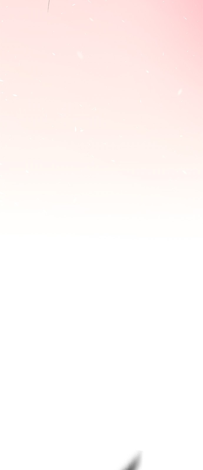 213 페이지