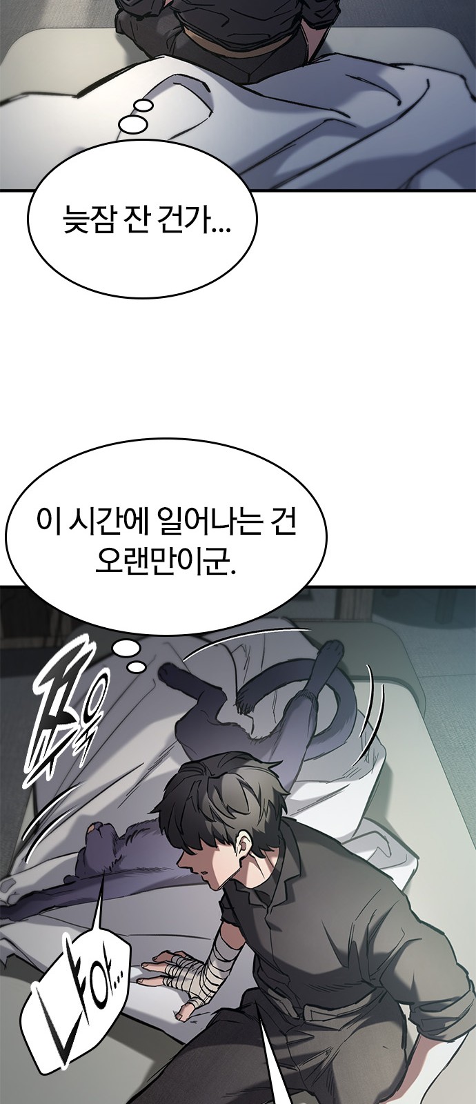 66 페이지