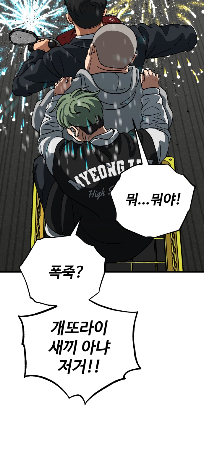 63 페이지