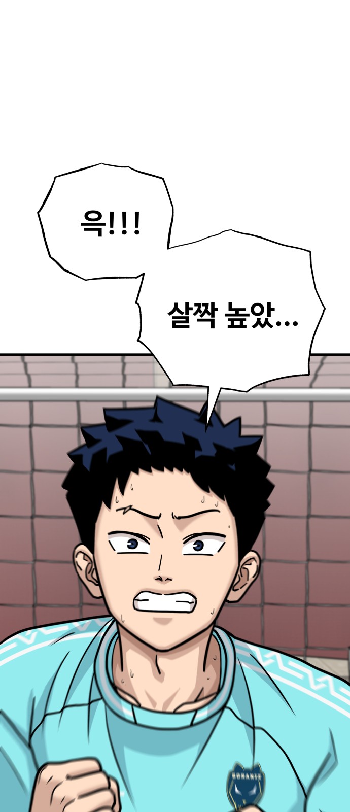 86 페이지