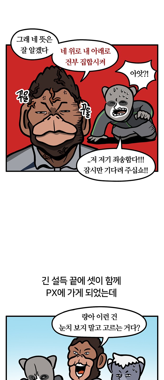 11 페이지