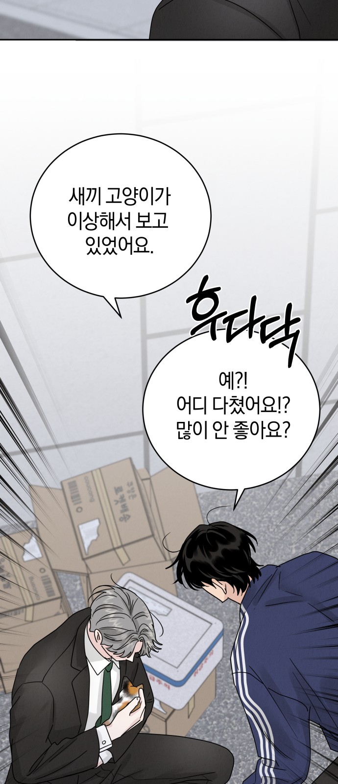 11 페이지