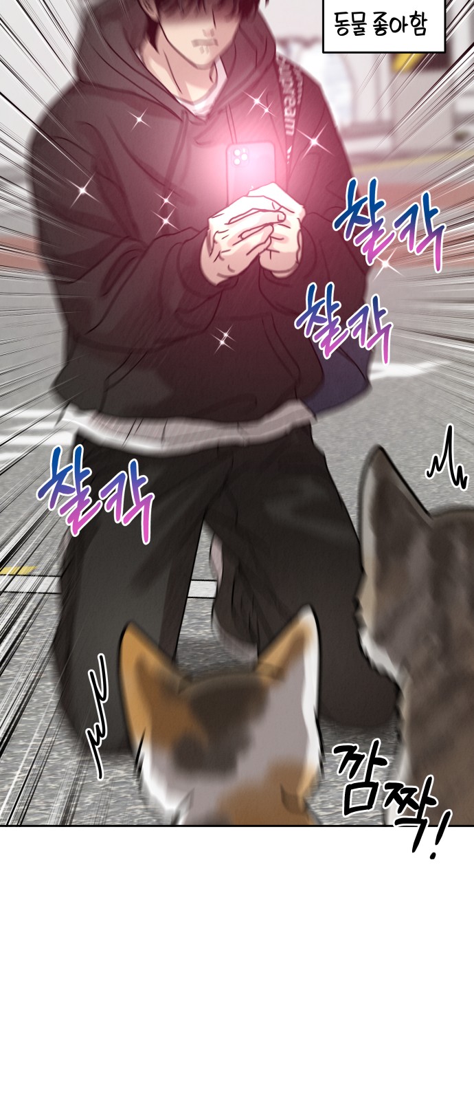 28 페이지