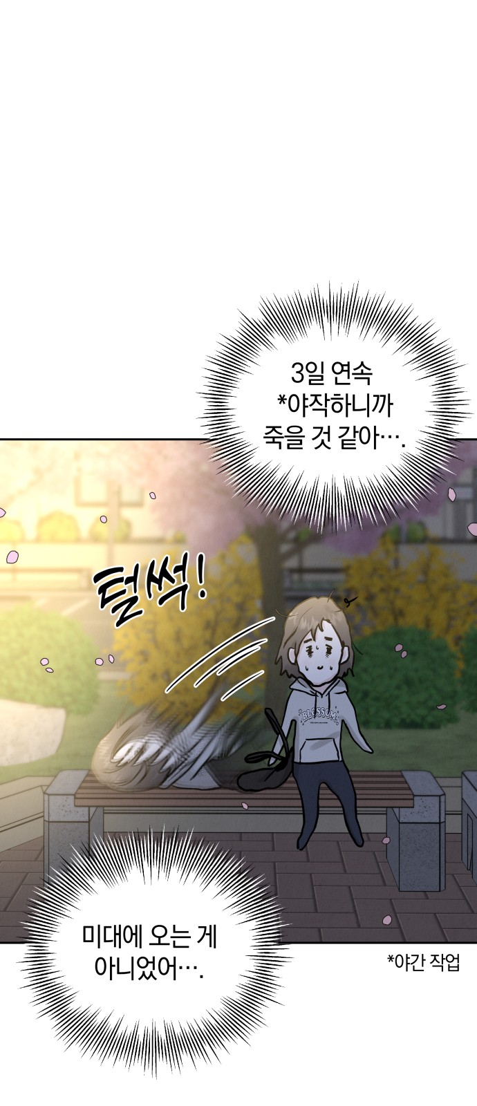 15 페이지