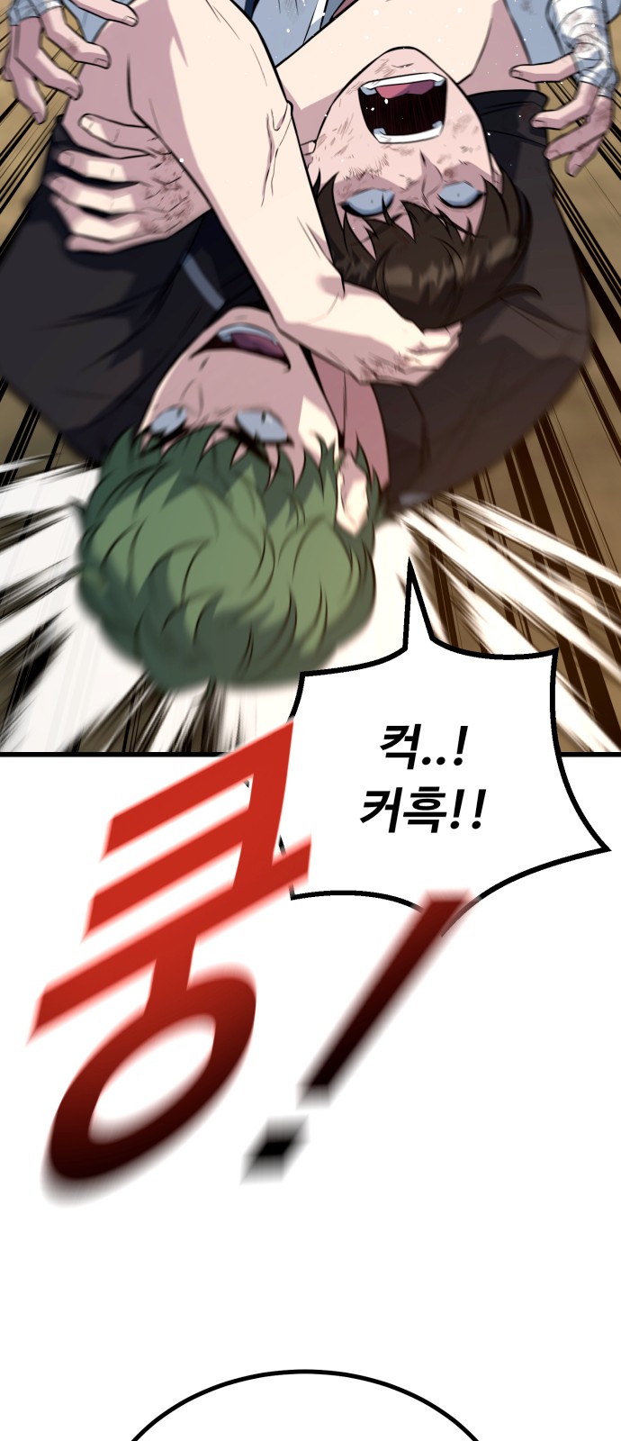 66 페이지