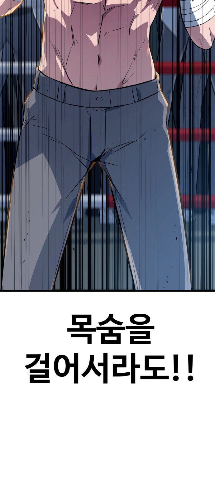 117 페이지