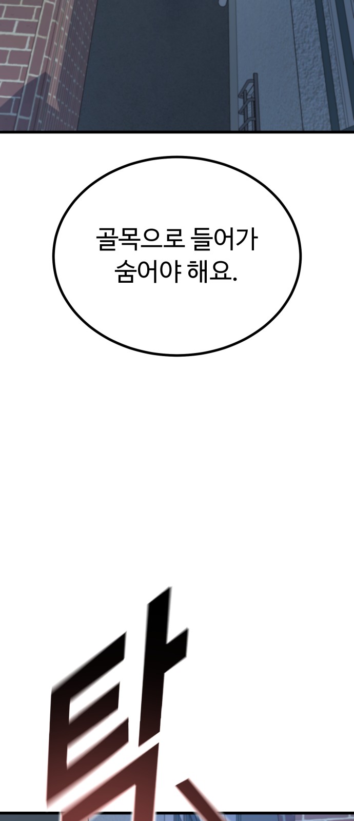 113 페이지