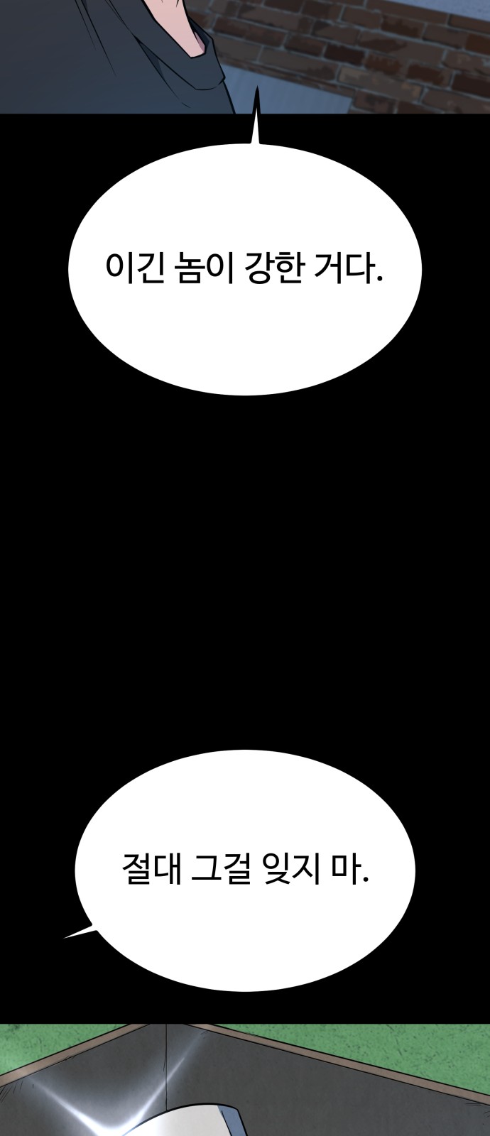 113 페이지