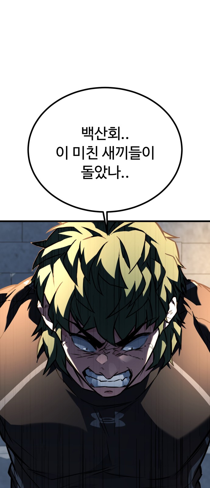 95 페이지