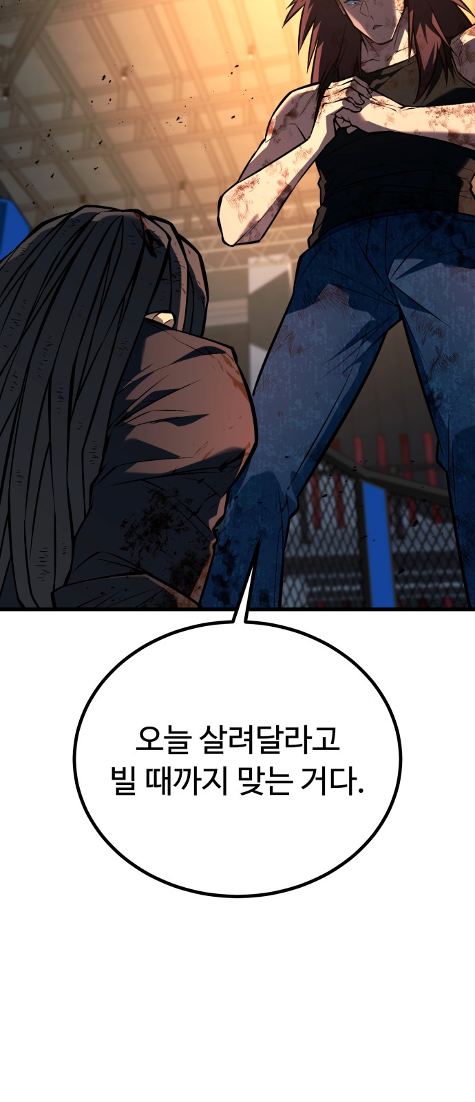 113 페이지