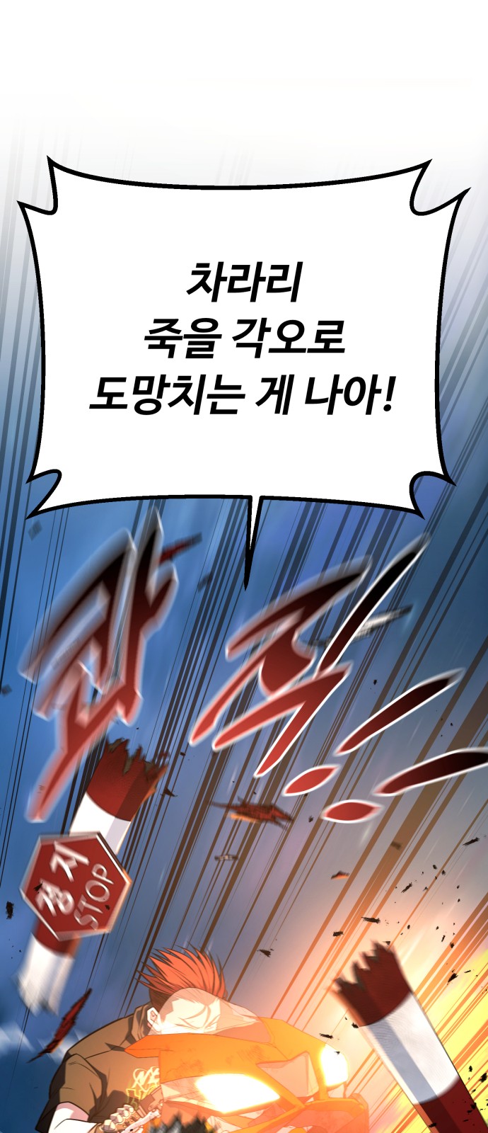 113 페이지