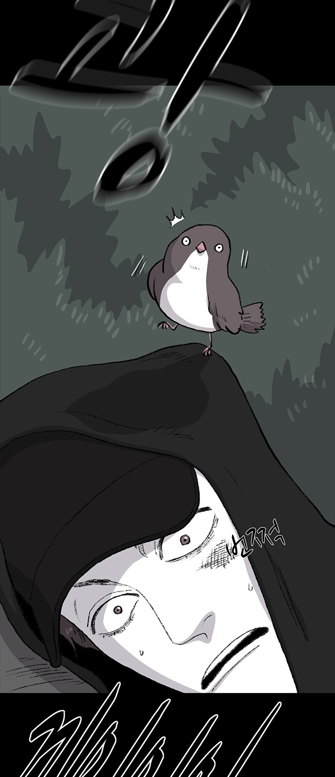 39 페이지