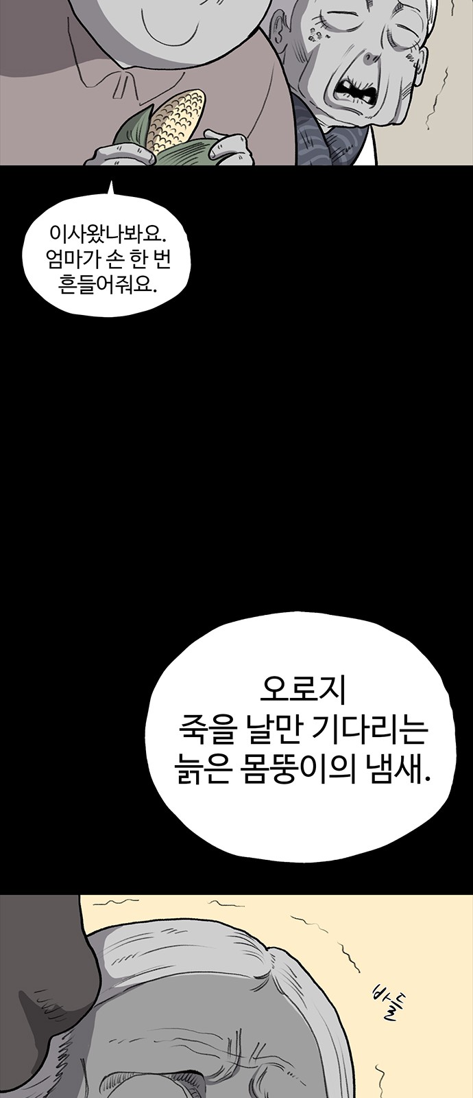 66 페이지