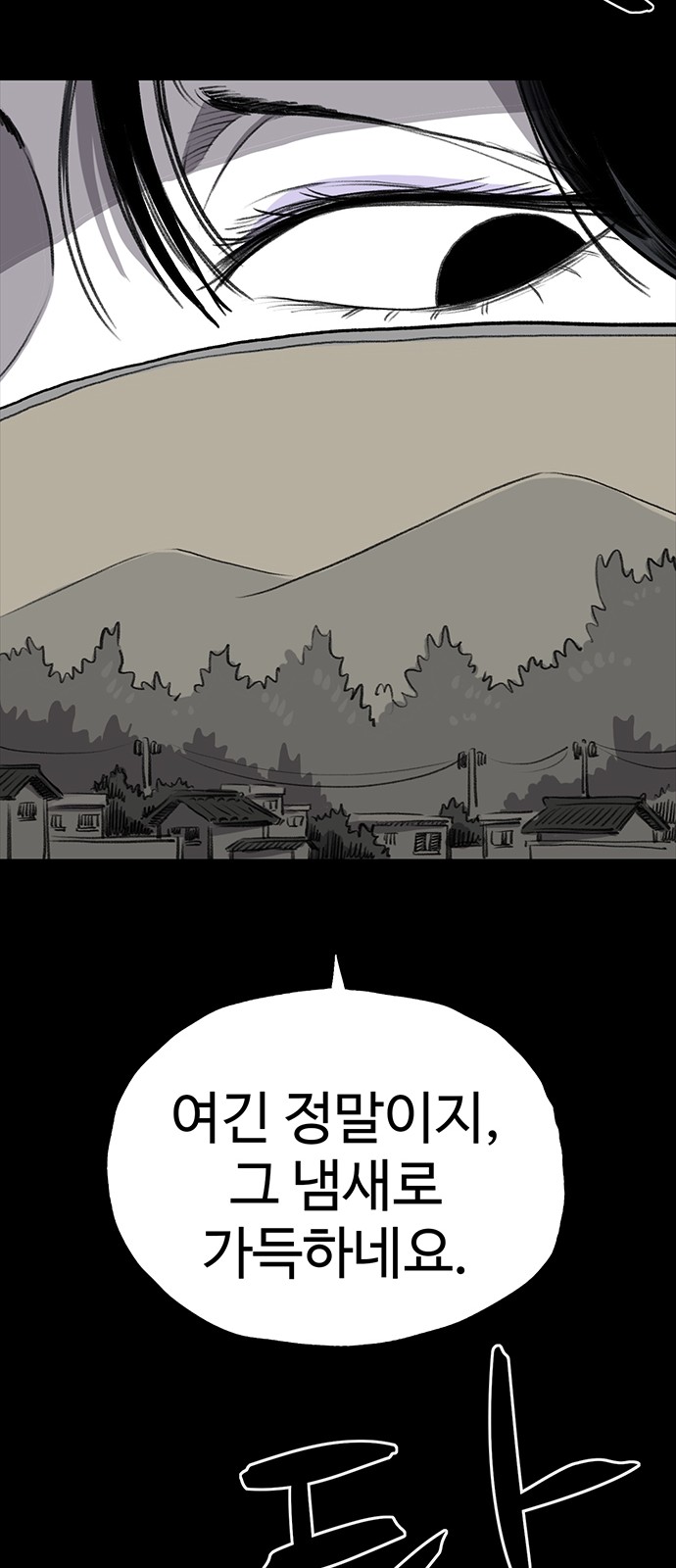 68 페이지