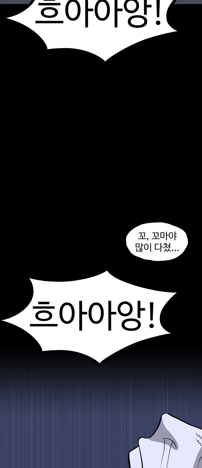 113 페이지
