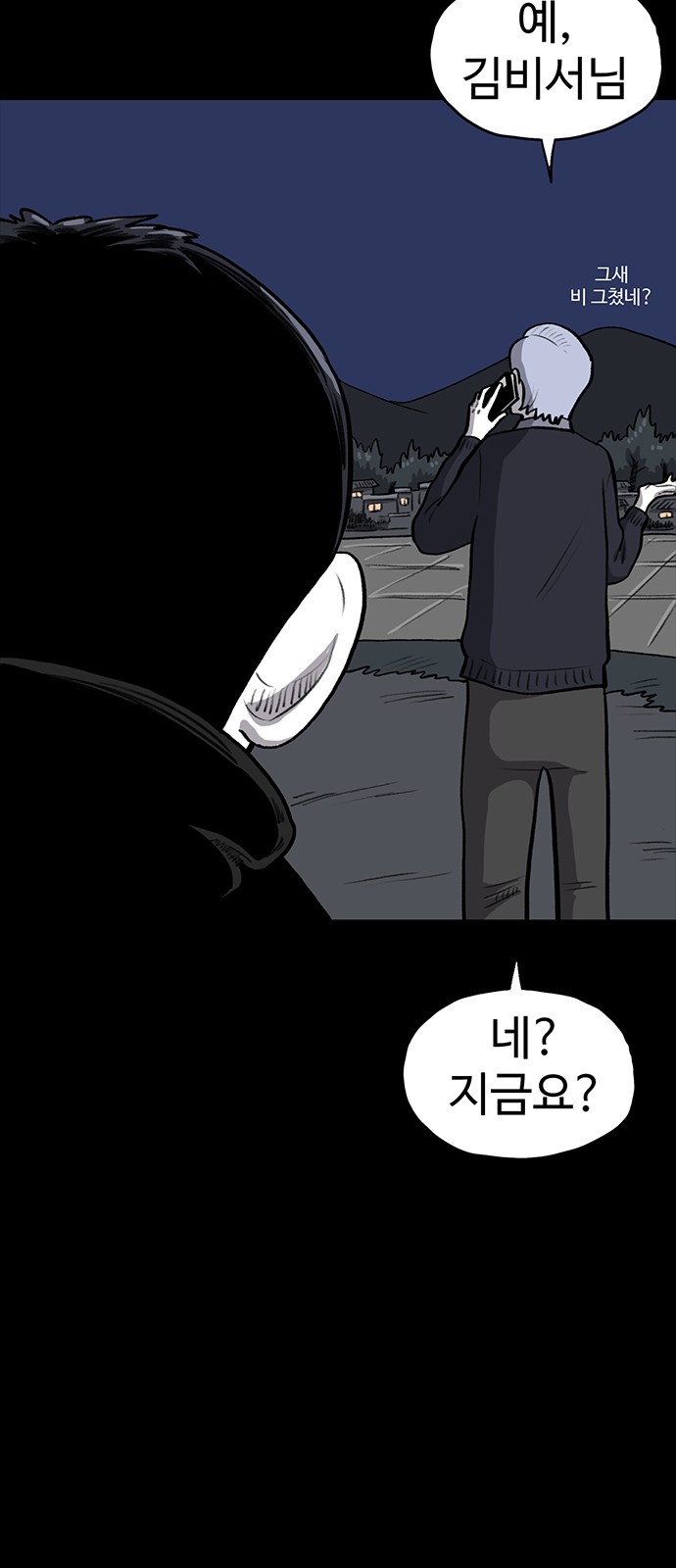 33 페이지