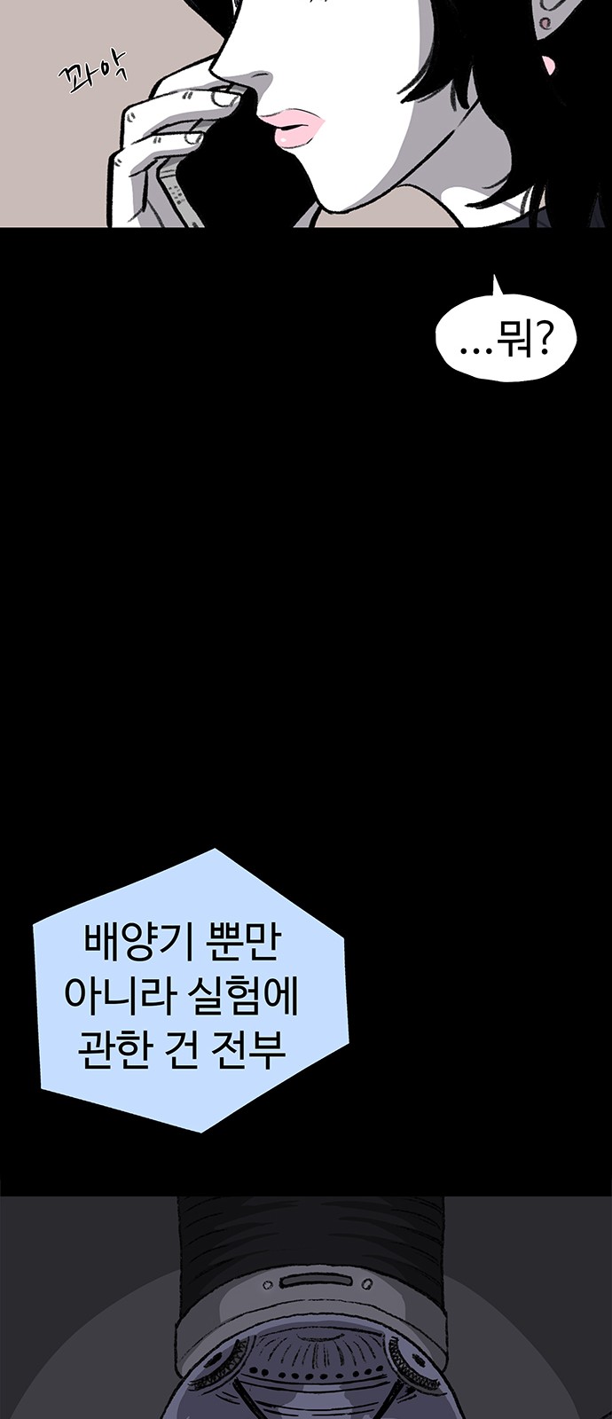 68 페이지