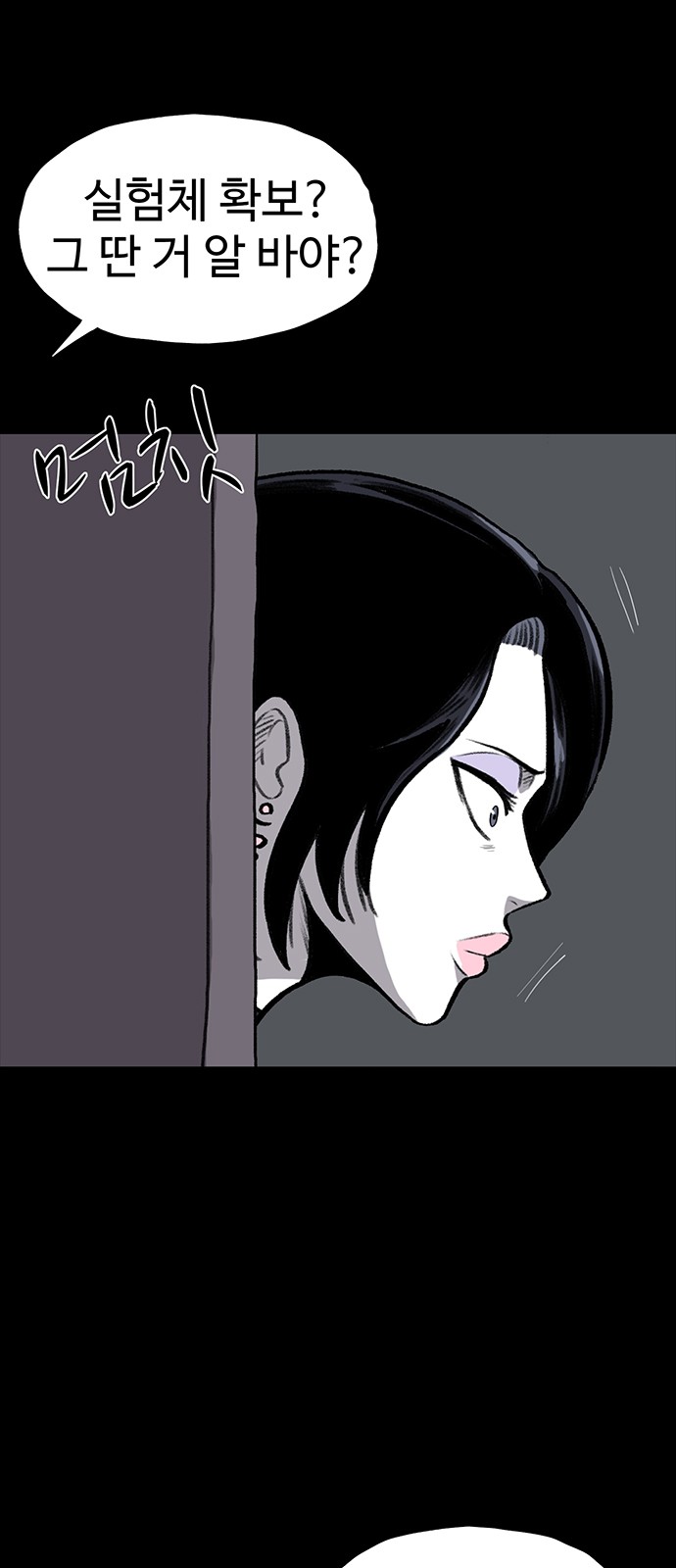 33 페이지