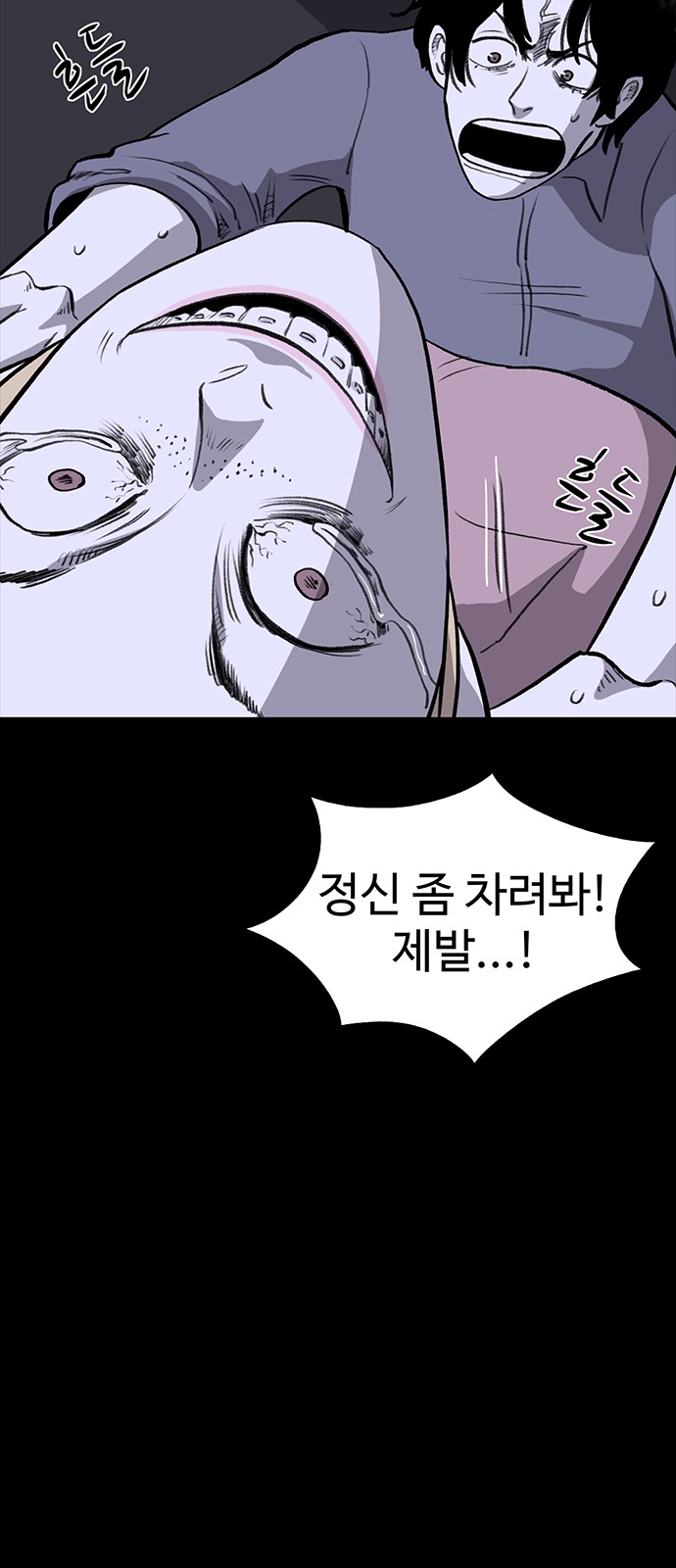 66 페이지